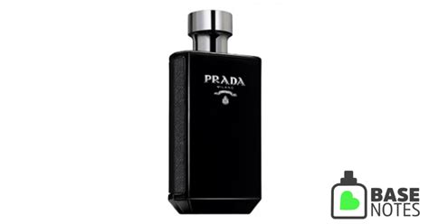 prada l'homme basenotes site www.basenotes.net|la femme prada cologne.